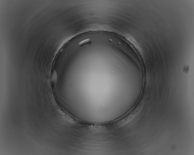 X0000089441089200707131900