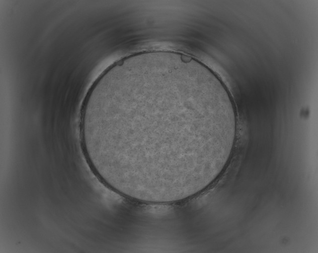 X0000089441090200707131900