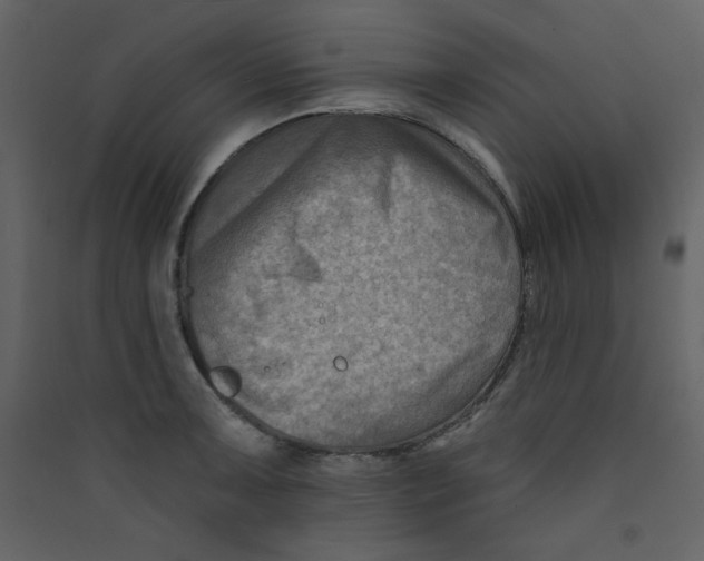X0000089441091200707131900