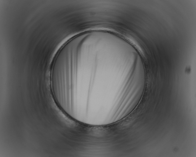 X0000089441092200707131900