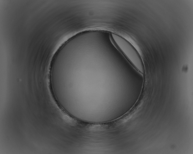 X0000089441093200707131900