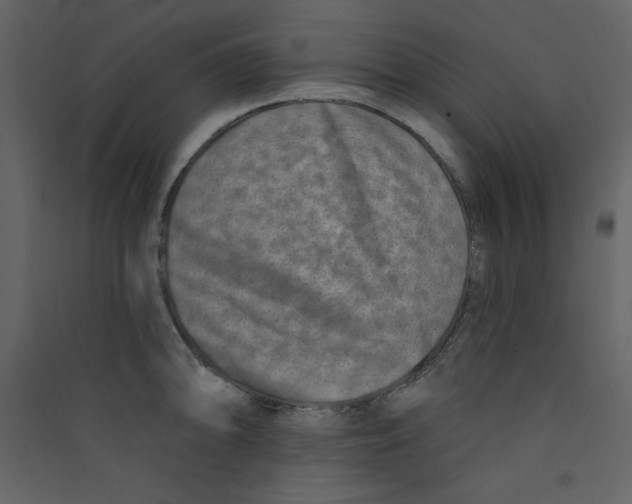 X0000089441094200707131900
