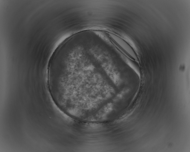 X0000089441095200707131900