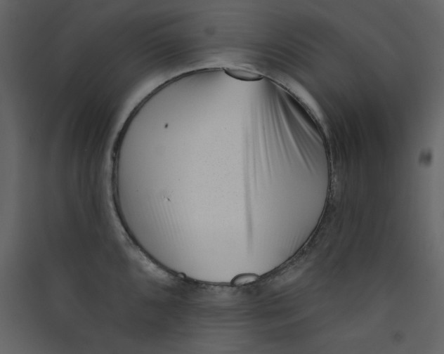 X0000089441096200707131900