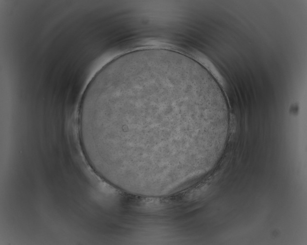 X0000089441098200707131900