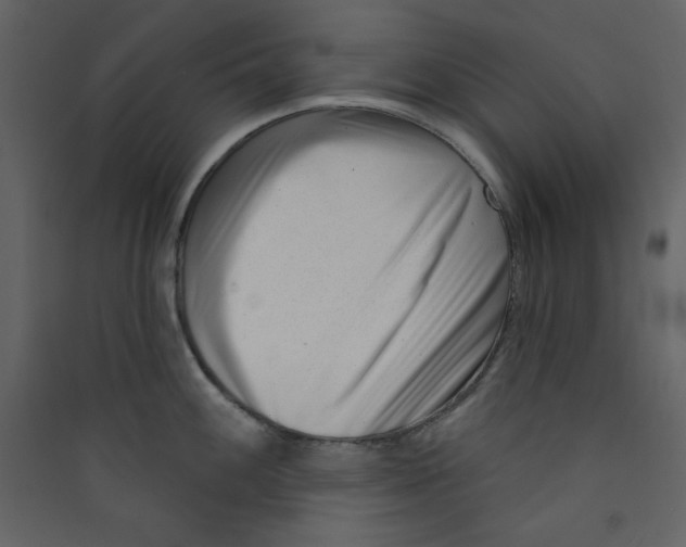 X0000089441100200707131900