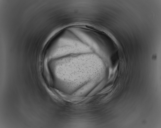 X0000089441101200707131900