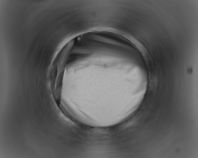 X0000089441102200707131900