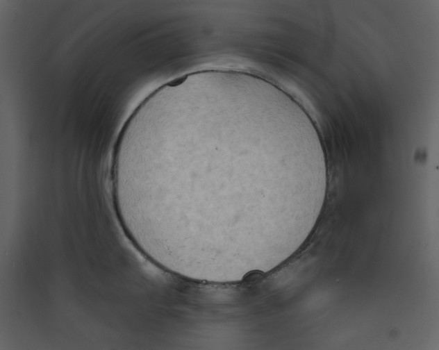 X0000089441103200707131900