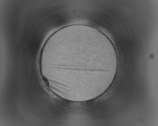 X0000089441104200707131900