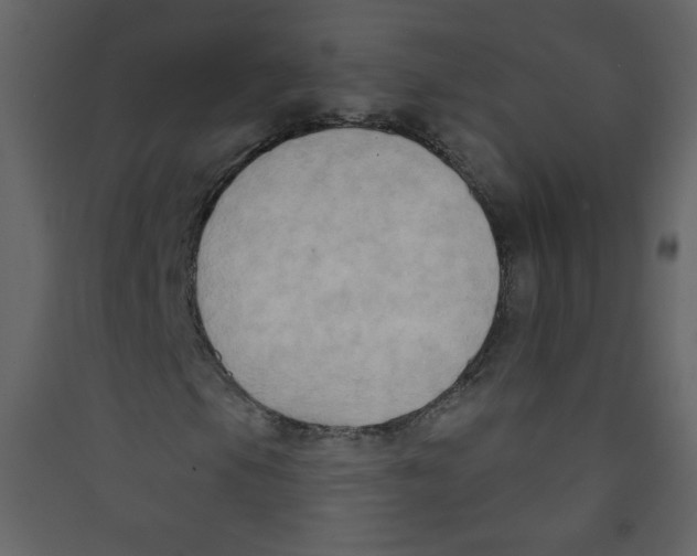 X0000089441105200707131900