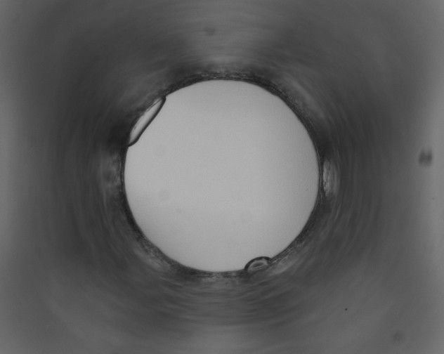 X0000089441107200707131900