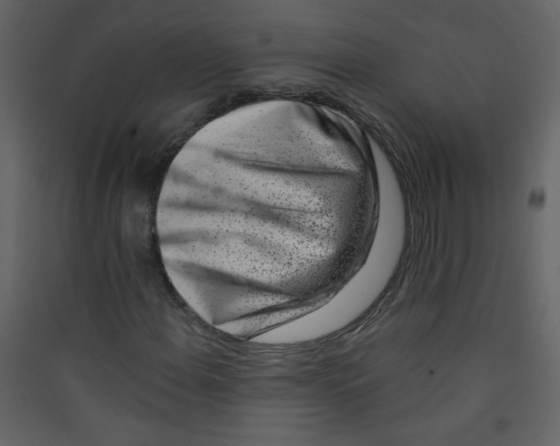 X0000089441108200707131900