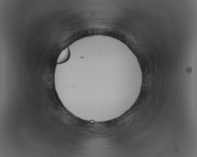 X0000089441109200707131900