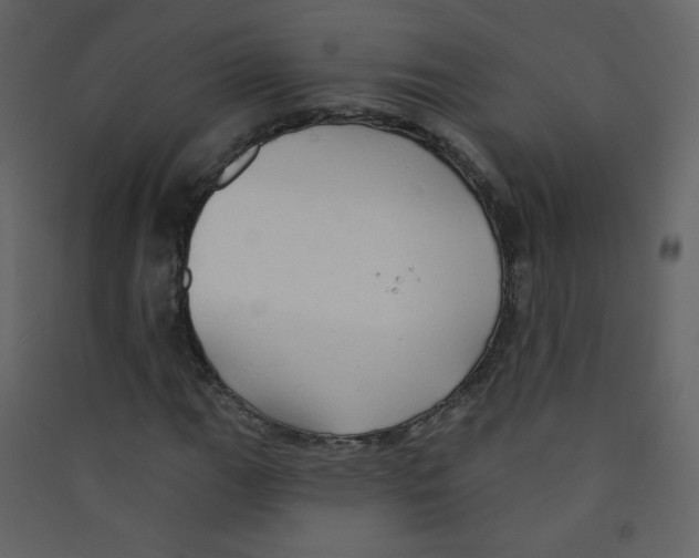 X0000089441111200707131900