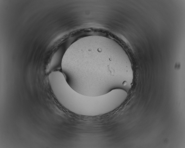X0000089441112200707131900