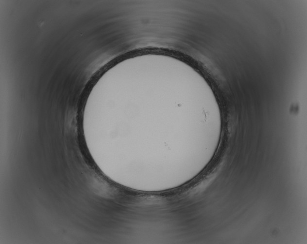 X0000089441113200707131900