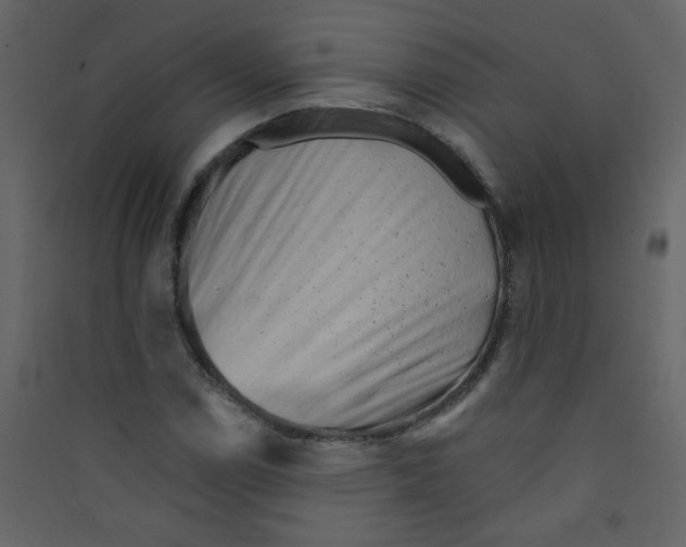 X0000089441114200707131900