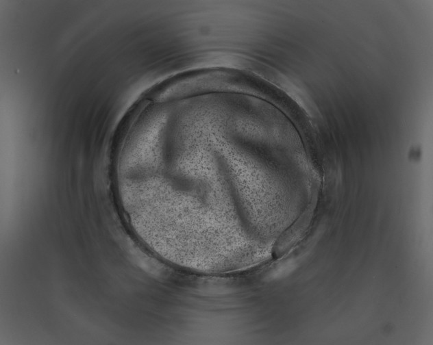 X0000089441116200707131900