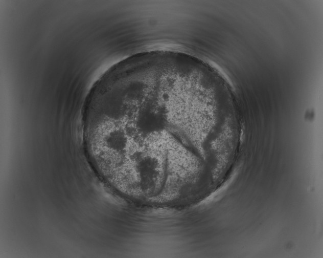 X0000089441117200707131900