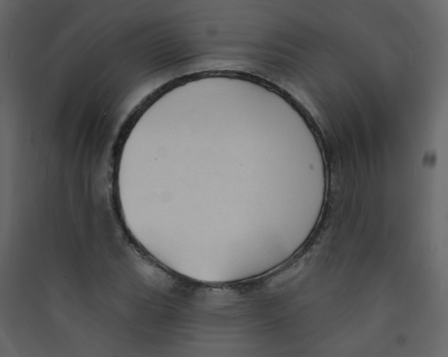 X0000089441119200707131900