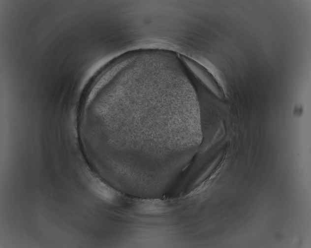 X0000089441120200707131900