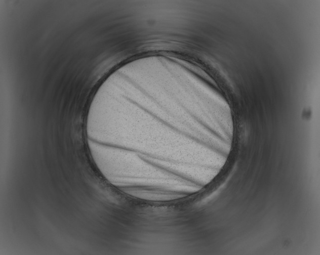 X0000089441121200707131900