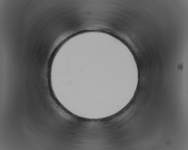 X0000089441122200707131900