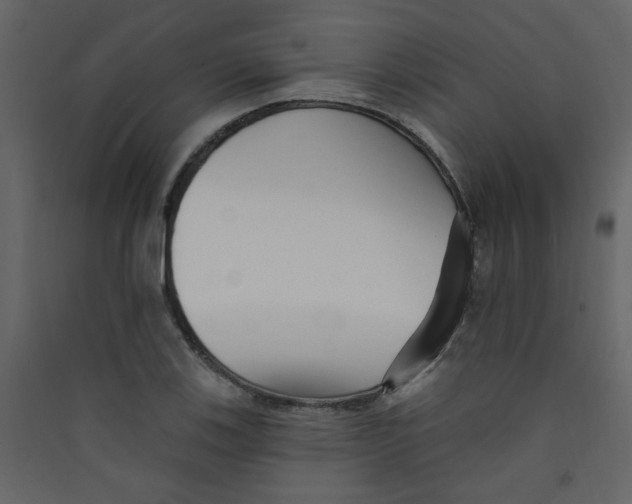 X0000089441123200707131900