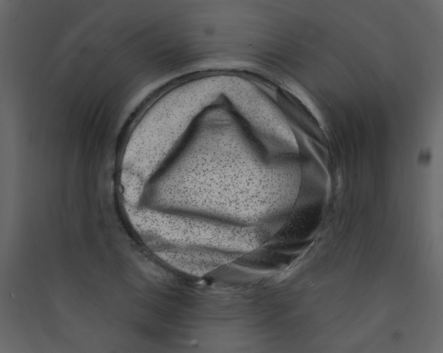 X0000089441124200707131900