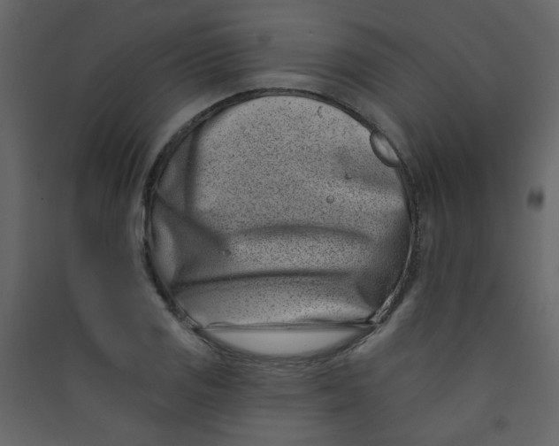 X0000089441125200707131900