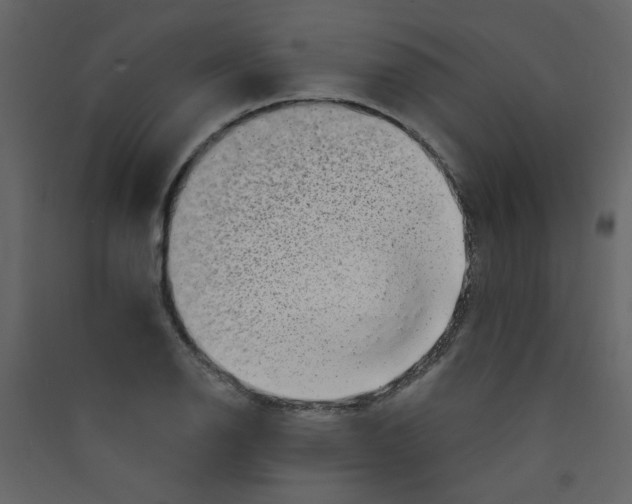 X0000089441126200707131900