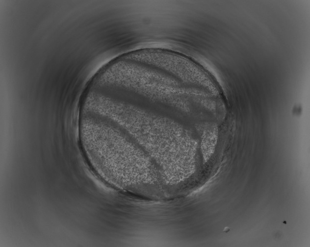X0000089441127200707131900
