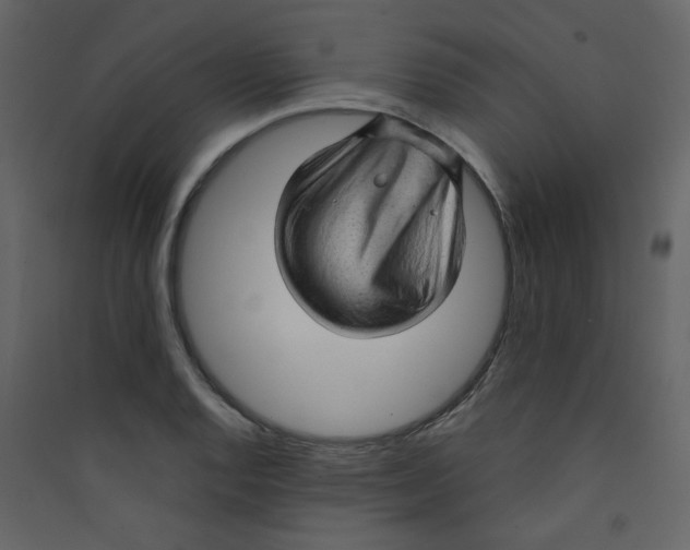 X0000089441128200707131900