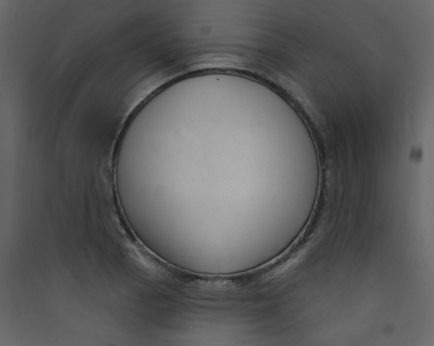 X0000089441129200707131900