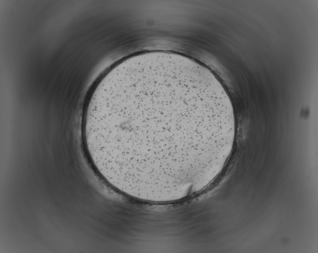 X0000089441130200707131900