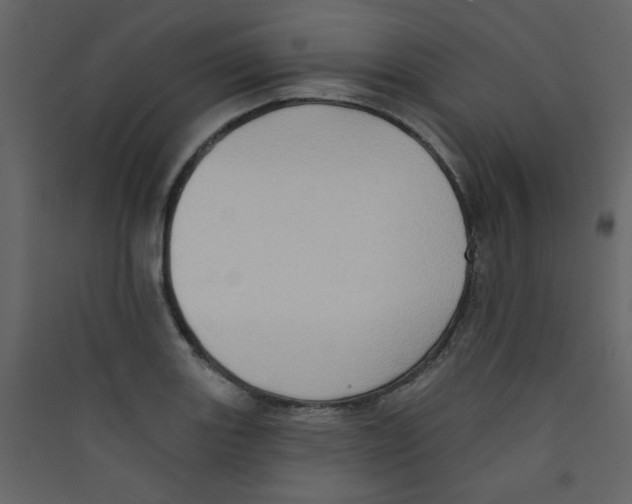 X0000089441131200707131900