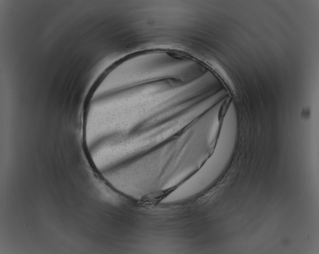 X0000089441132200707131900