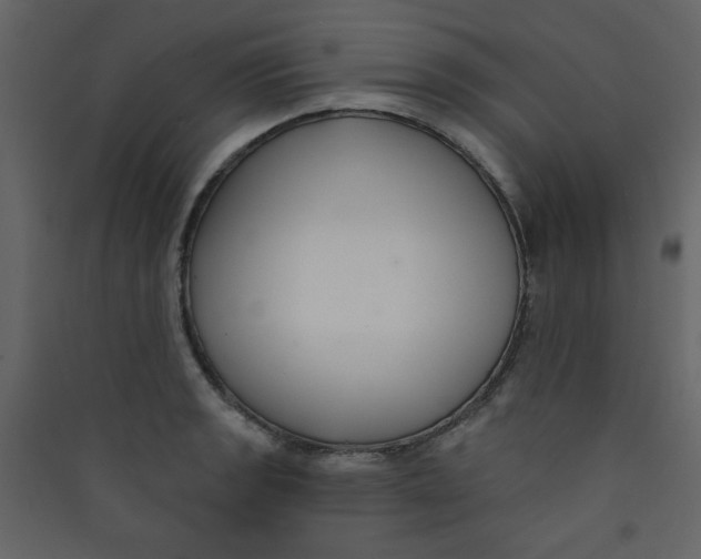 X0000089441133200707131900