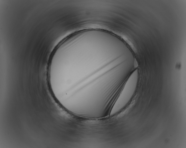 X0000089441134200707131900