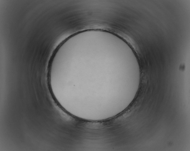 X0000089441135200707131900