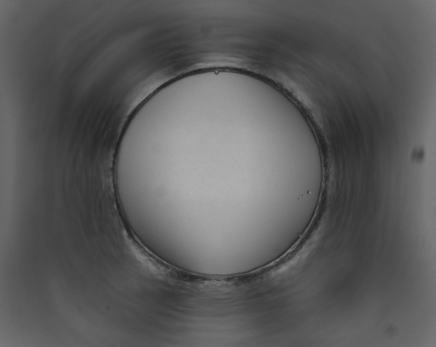 X0000089441137200707131900