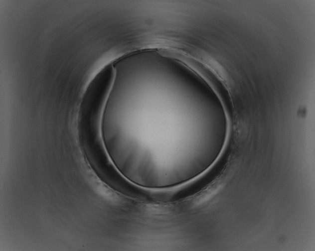 X0000089441138200707131900
