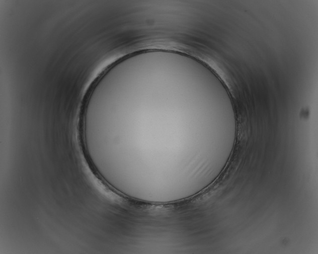X0000089441139200707131900