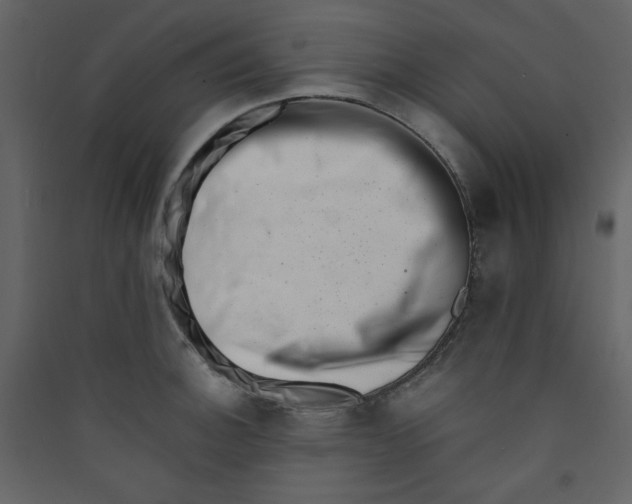 X0000089441140200707131900