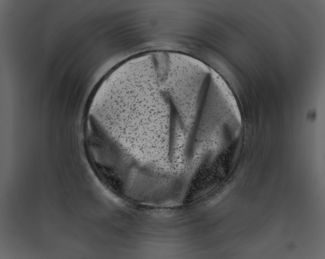 X0000089441141200707131900