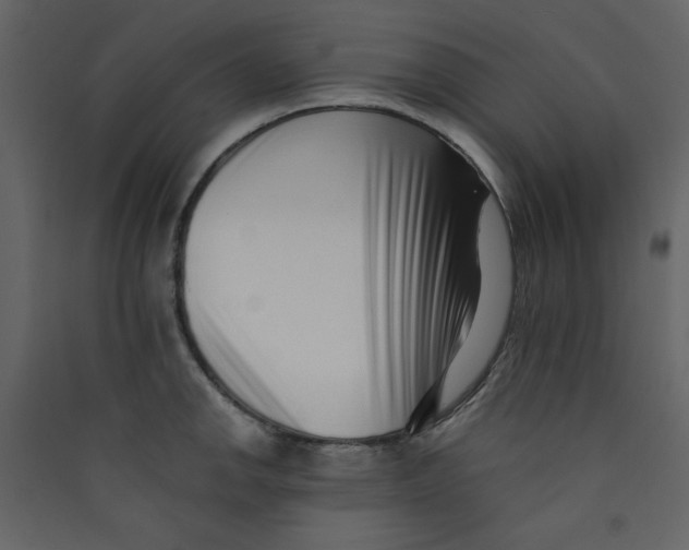 X0000089441142200707131900