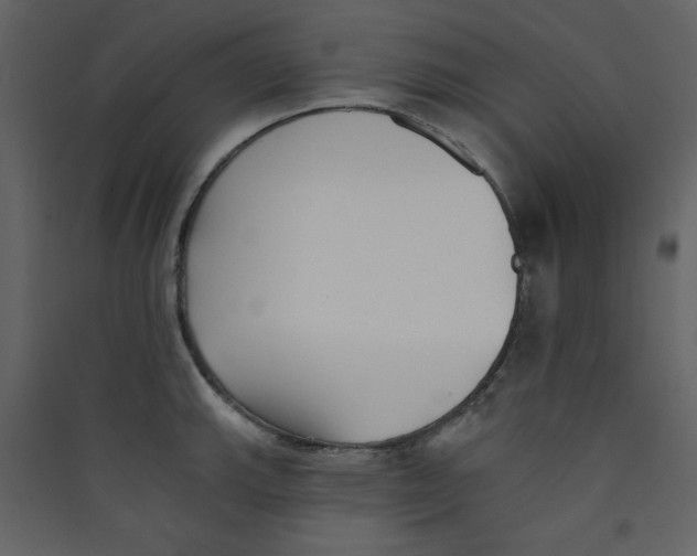 X0000089441143200707131900