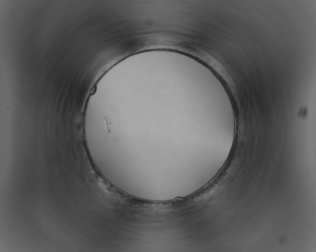 X0000089441145200707131900