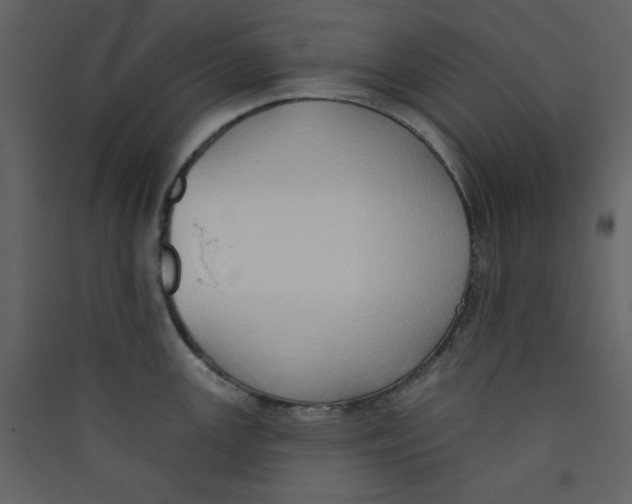 X0000089441147200707131900
